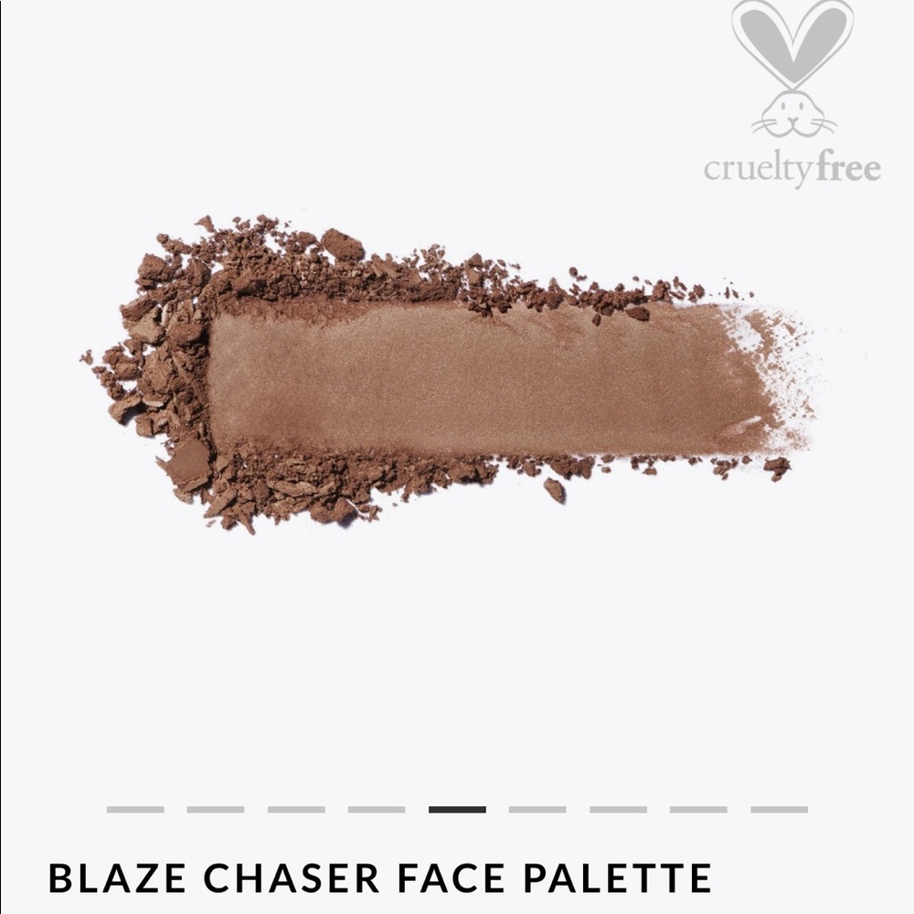 ❗️SOLD❗️Brand New Iconic London Blaze Chaser Face Palette - Picture 6 of 16
